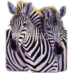 Backrub Zebras Car Mats