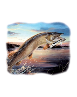 Twilight Muskie Car Mats