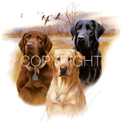 Great Hunting Dogs Lab Car Mats