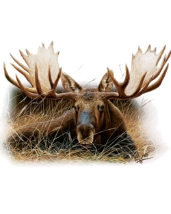 In His Prime Moose Car Mats