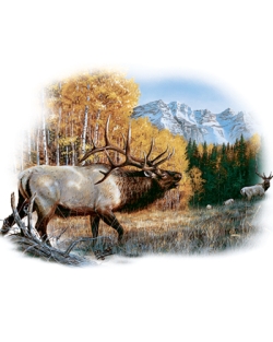 September Rivalry Elk Car Mats