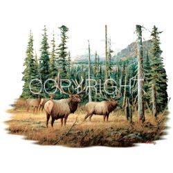 Bull Elk Car Mats