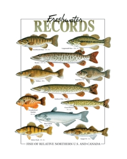 Fresh Water Records Fish Car Mats