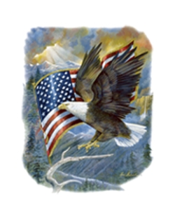 American Pride Eagle Car Mats