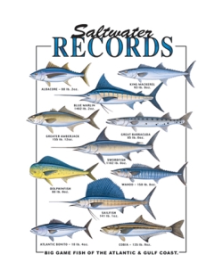Saltwater Records Car Mats