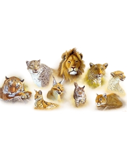 Cats of the World Big Cats Car Mats