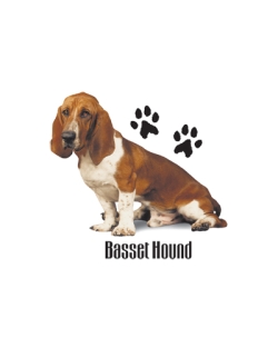 Basset Hound Car Mats