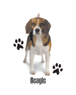 Beagle with Paw Prints Car Mats