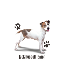 Jack Russell Terrier Car Mats
