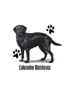 Black Labrador Retriever Profiles Car Mats