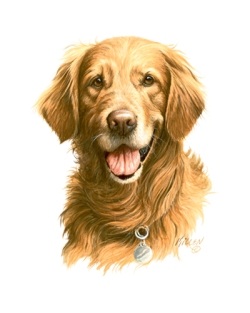 Golden Retriever Head Car Mats