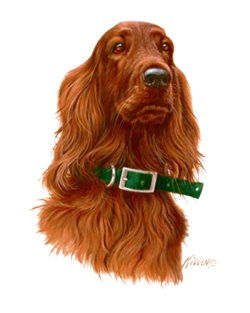 Irish Setter Head Car Mats