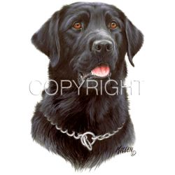 Black Lab Head Car Mats
