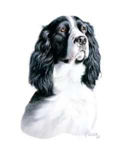 Black and White Springer Car Mats
