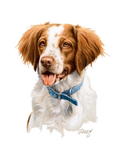 Brittany Spaniel Car Mats