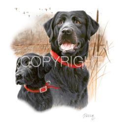 The Legacy - Black Labs Car Mats