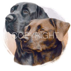 Chocolate and Black Lab Car Mats