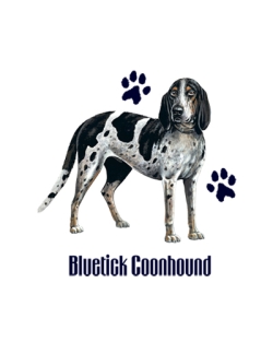 Bluetick Coon Hound Car Mats