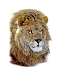 Lion Portrait Car Mats