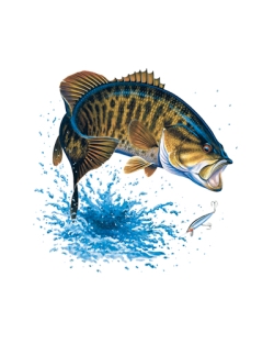 Smallmouth Bass Car Mats