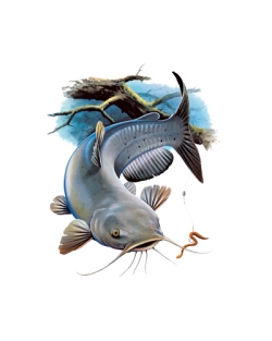 Channel Catfish Car Mats