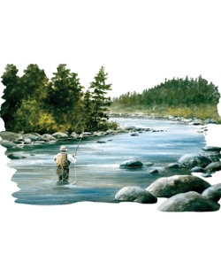 Trout Background Car Mats