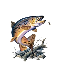 Brown Trout Car Mats
