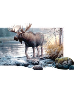 Power in the Mist Moose Car Mats