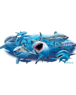 Wish You Were Here Shark Car Mats