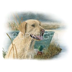 Wet and Wild Yellow Lab Car Mats