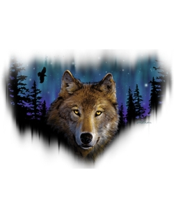 Northern Lights Wolf Car Mats