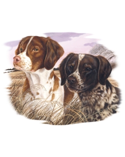 Early Morning Hunt German Shorthair Car Mats