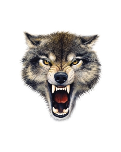 Wolf Bite Car Mats