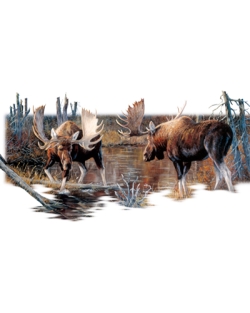 Ready to Rumble Moose Car Mats