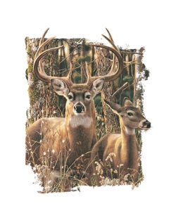 In His Domain Whitetail Deer Car Mats