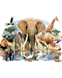African Oasis Exotic Animal Car Mats