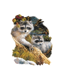 Looking For Trouble Raccoons Car Mats