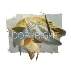 Muskie Car Mats