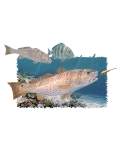 All That Glitters Redfish Car Mats