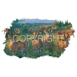 Reunion Whitetail Bucks Car Mats