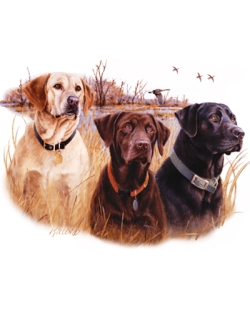 Great Hunting Dogs II Labs Car Mats