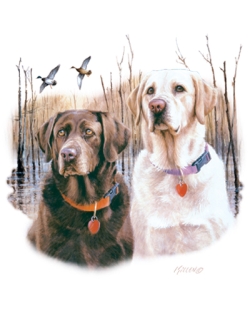 Whaley's Labs - Mixed Pair Car Mats
