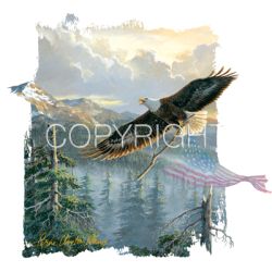 Rebuilding America Eagle Car Mats
