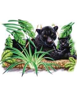 Black Panther & Cub Car Mats