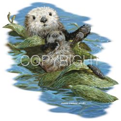 Kelp Cradle Otter Car Mats