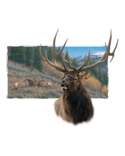 American Elk Car Mats