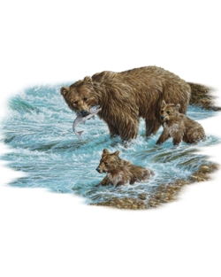 Alaskan Brown Bear Car Mats