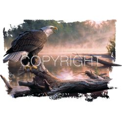 Scouting the River Eagle Car Mats