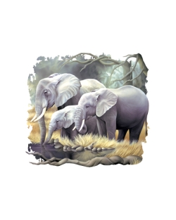 Elephant Family Car Mats