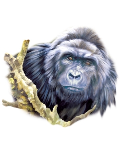 Gorilla Car Mats